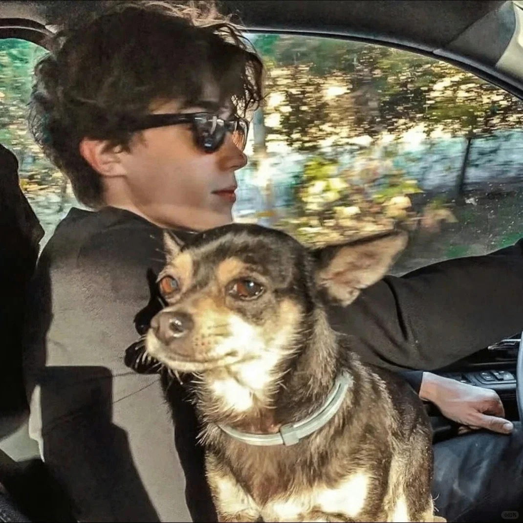 ffvbyh (elmosss.lens) Lens social identity (.lens handle) PFP