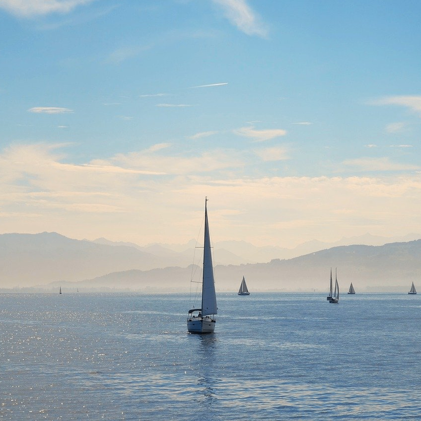 A (a3ee77.lens) Lens social identity (.lens handle) PFP