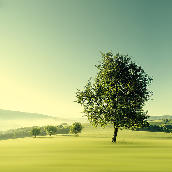 Olivia Davis (femalebully.lens) Lens social identity (.lens handle) PFP