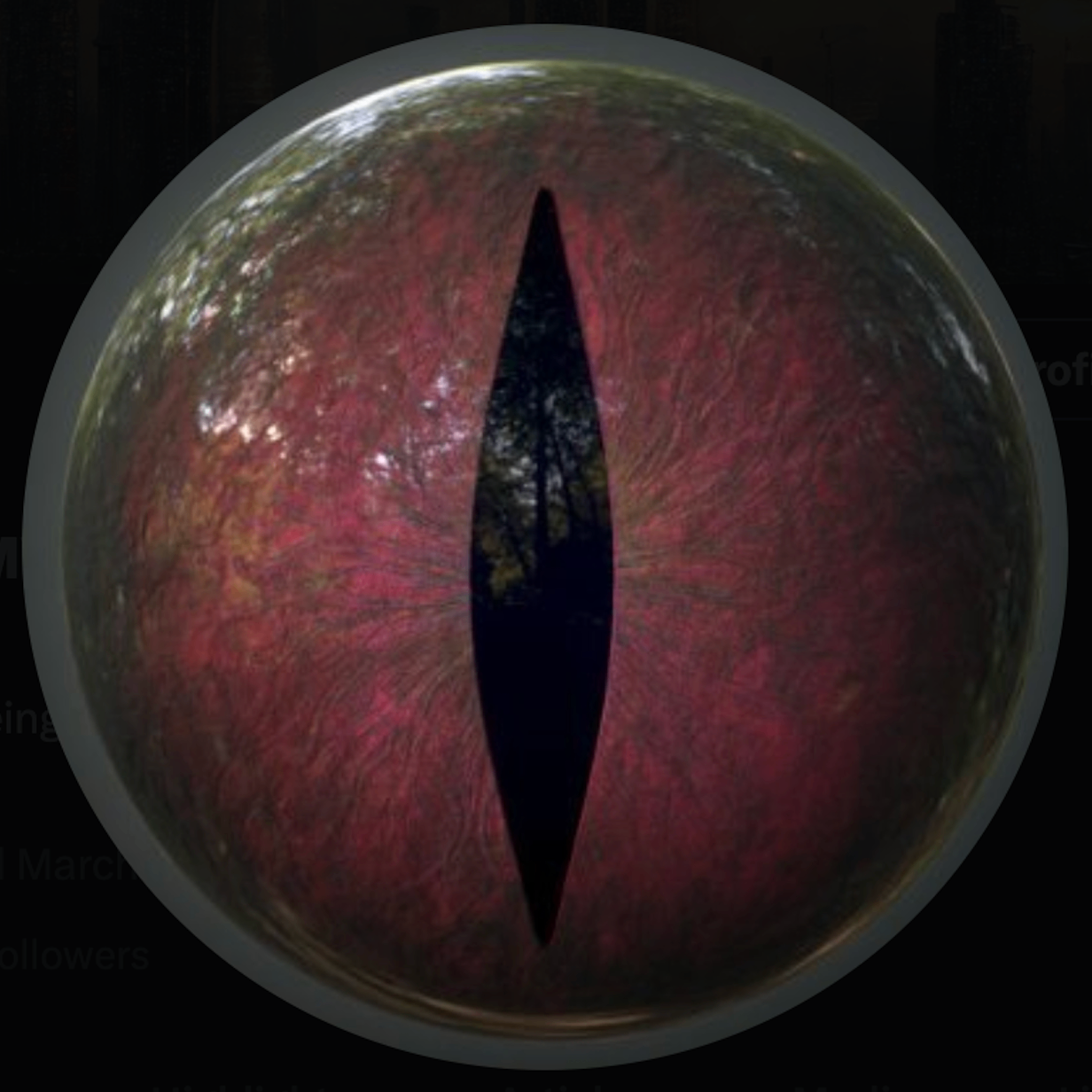 Eye (eyeslides.lens) Lens social identity (.lens handle) PFP