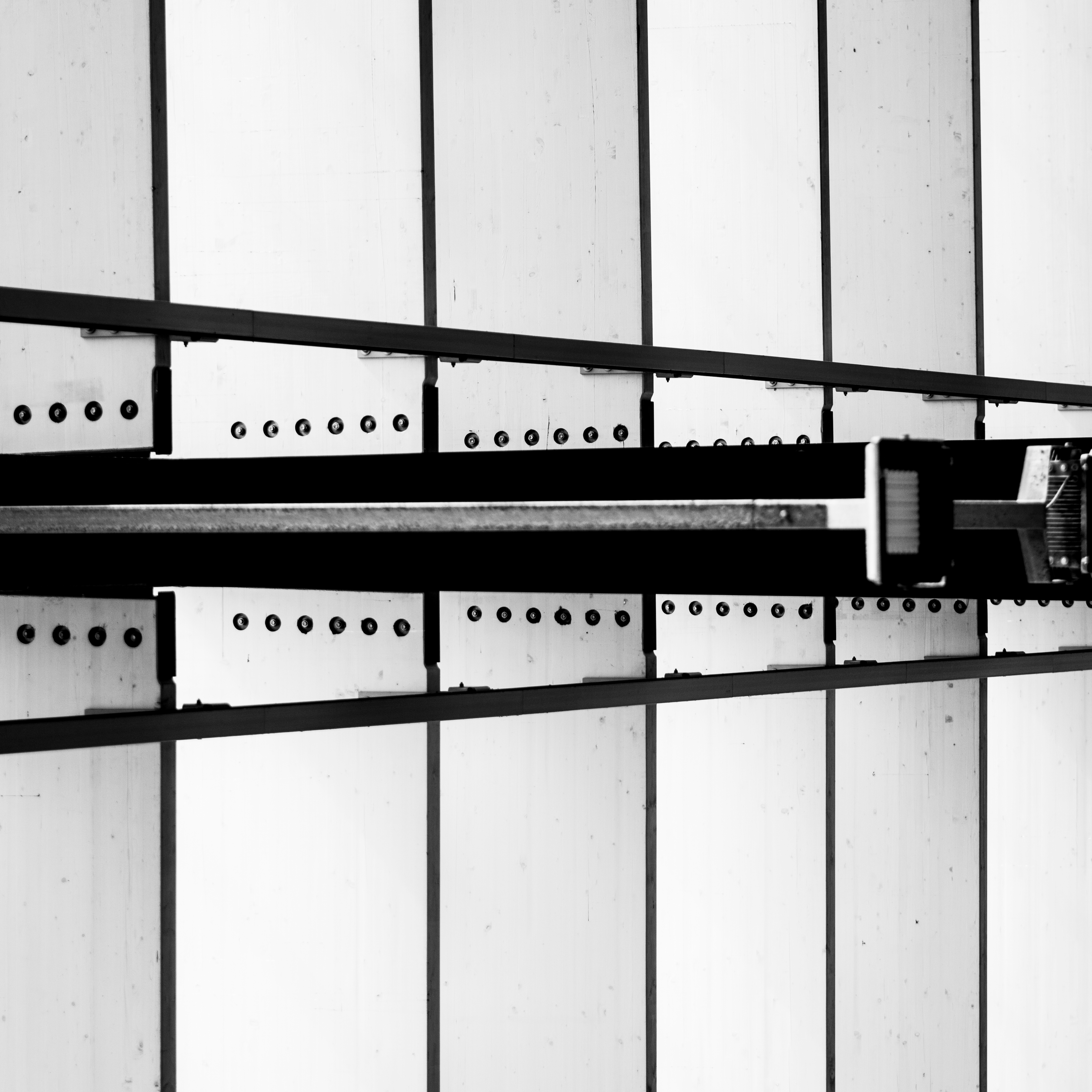 ainhoa (inh0a.lens) Lens social identity (.lens handle) PFP