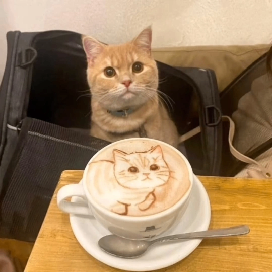 Rosa (aynrosa.lens) Lens social identity (.lens handle) PFP