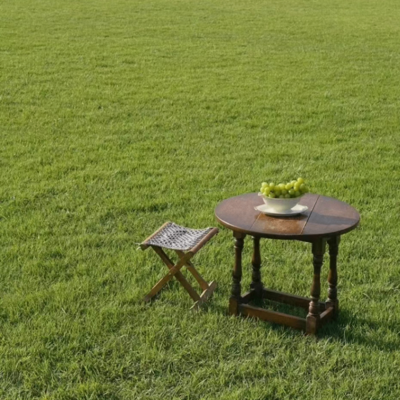 furniture (zimran.lens) Lens social identity (.lens handle) PFP