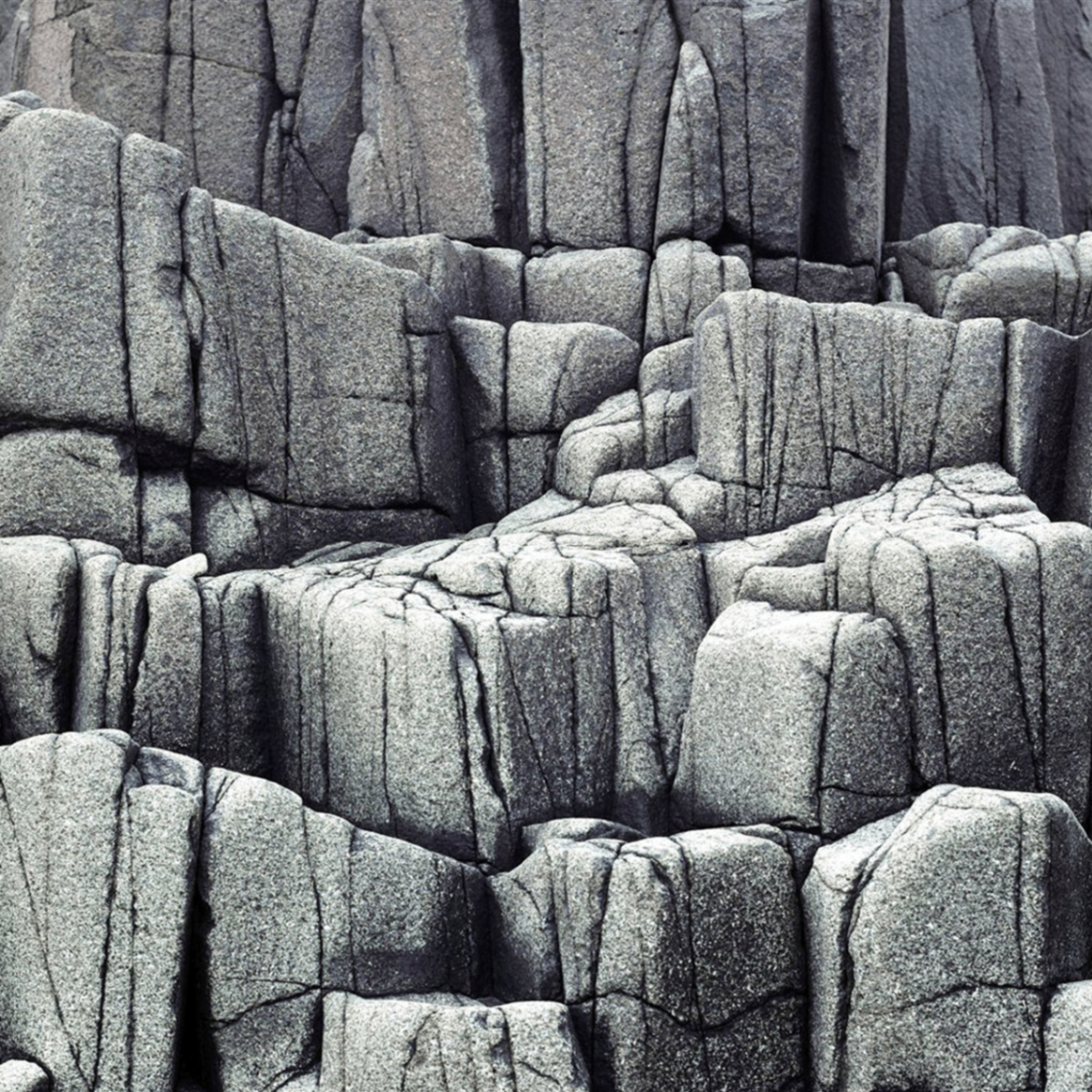 dfrr (ede454.lens) Lens social identity (.lens handle) PFP