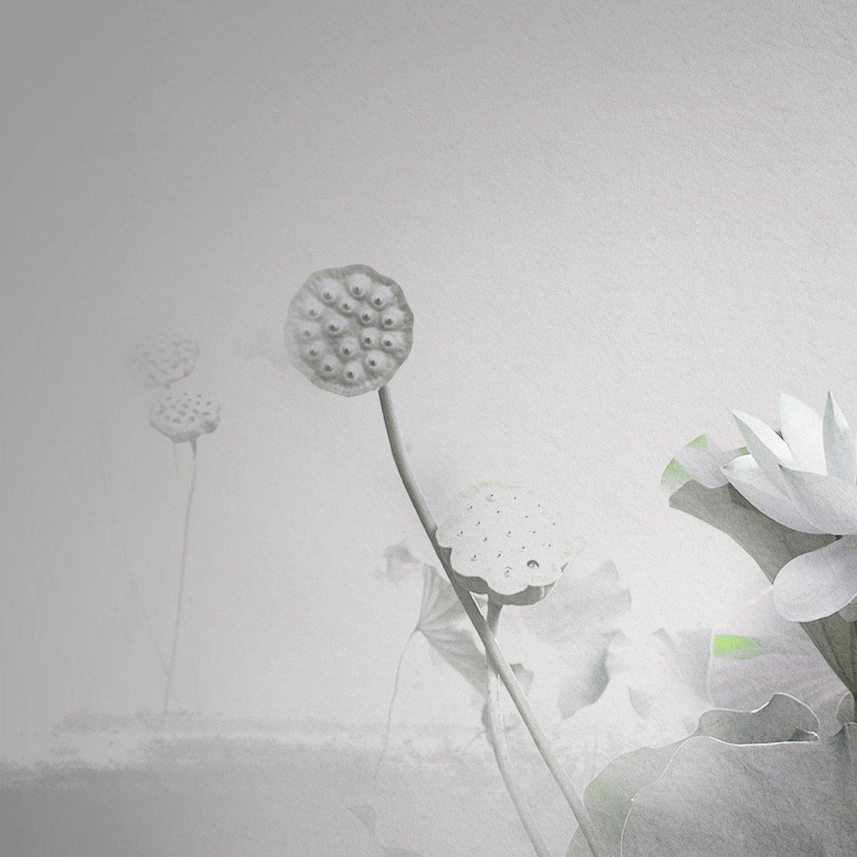 jh (atomi.lens) Lens social identity (.lens handle) PFP