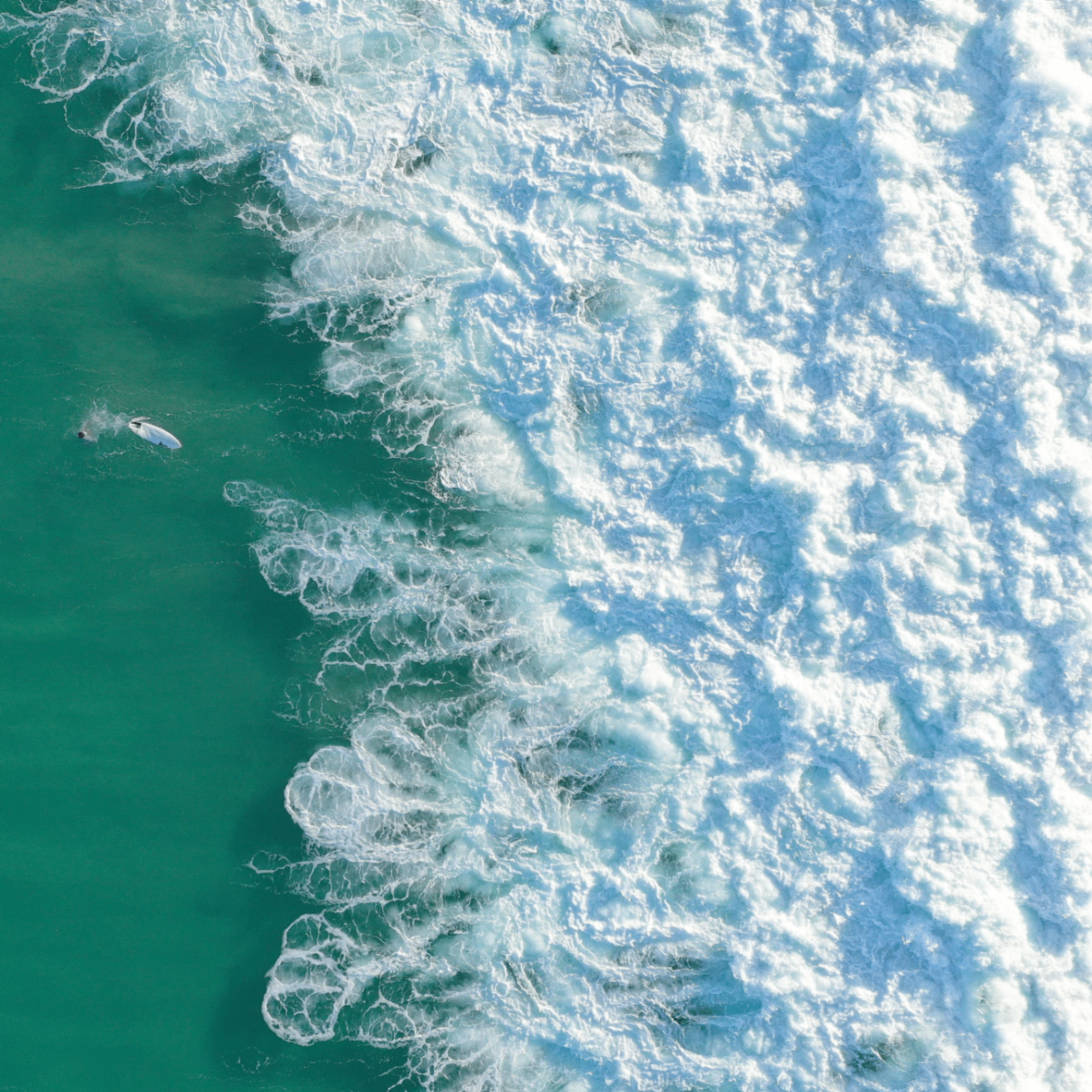 Harmo (harmo.lens) Lens social identity (.lens handle) PFP