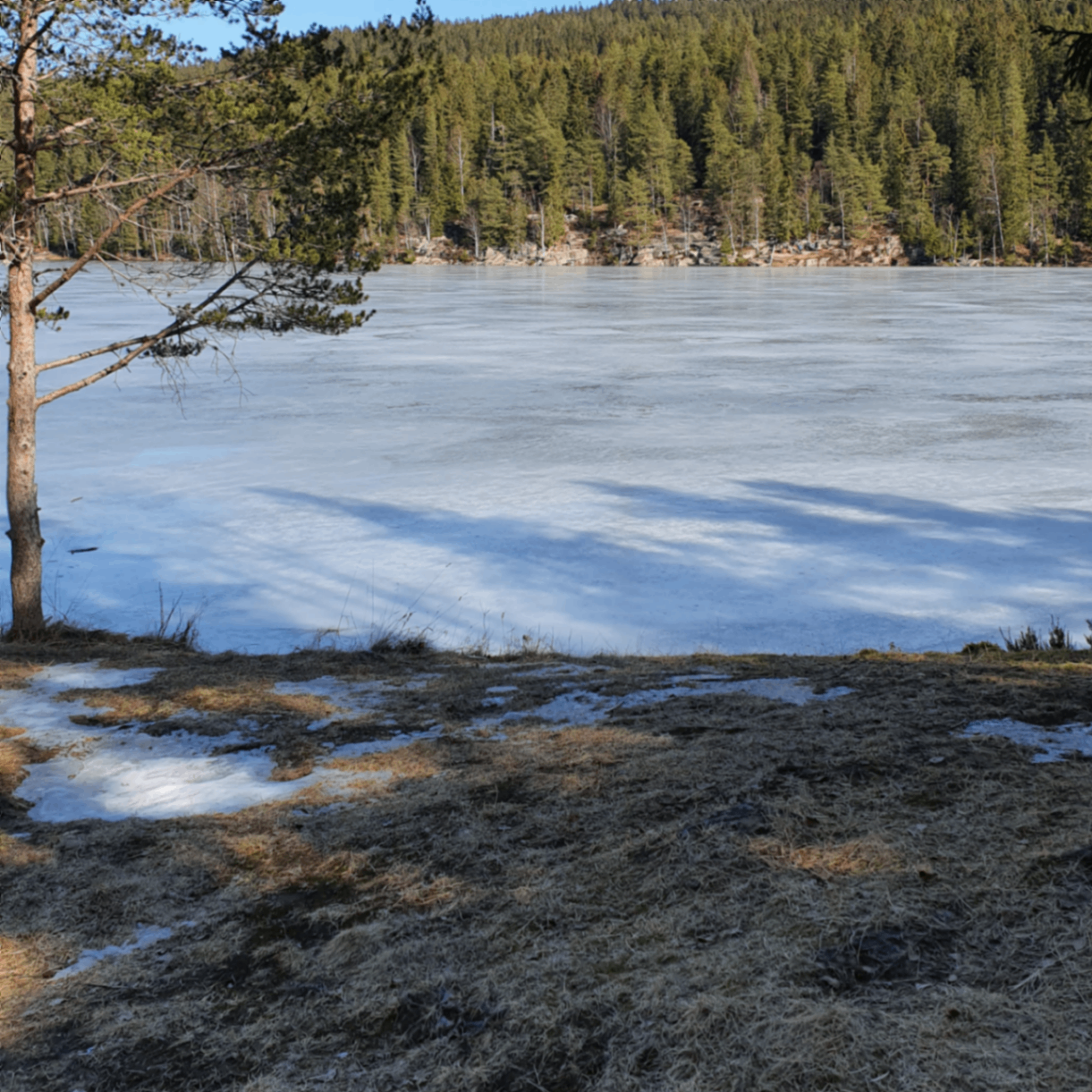 Gothenburg (gothenburg.lens) Lens social identity (.lens handle) PFP