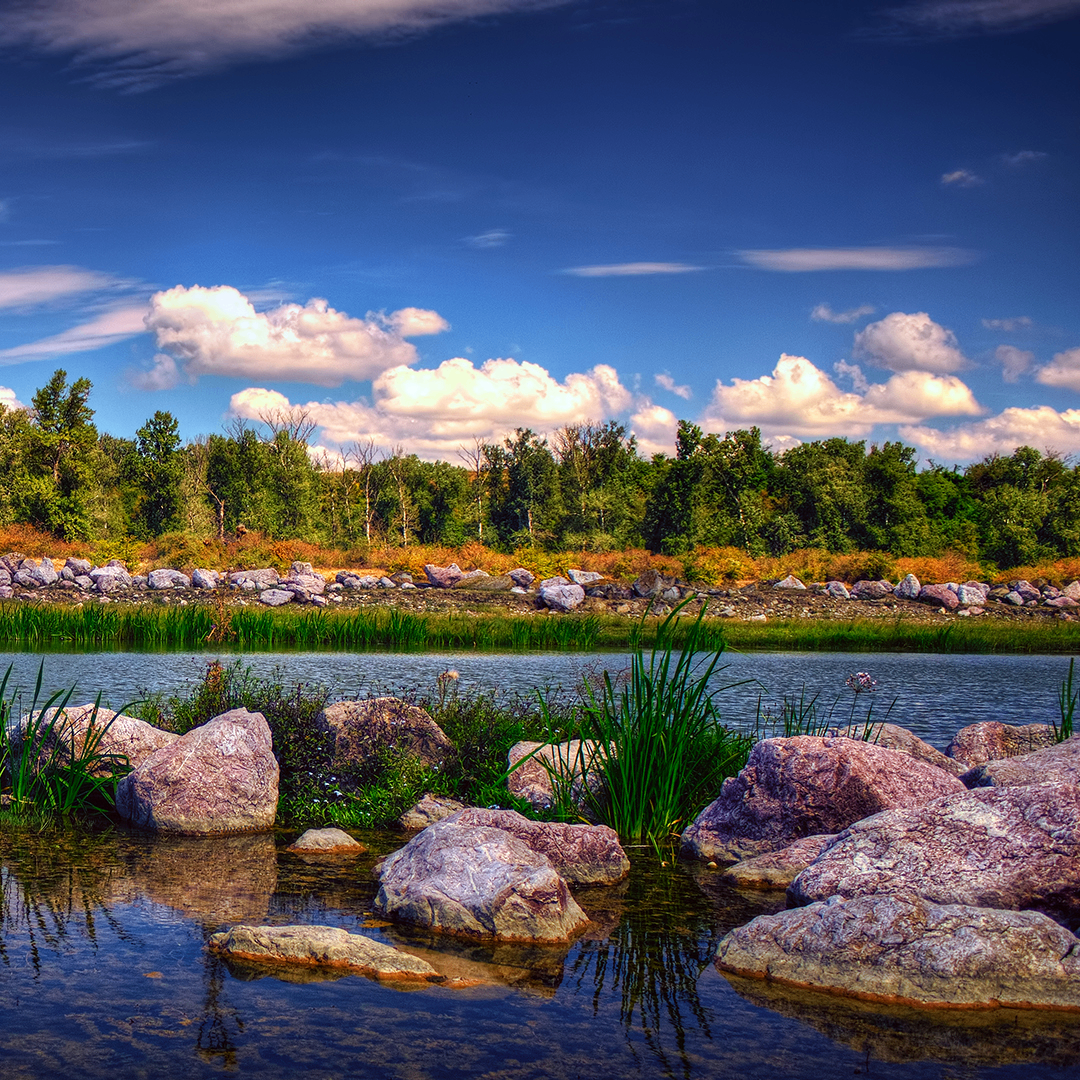 sfe (dsfe3.lens) Lens social identity (.lens handle) PFP