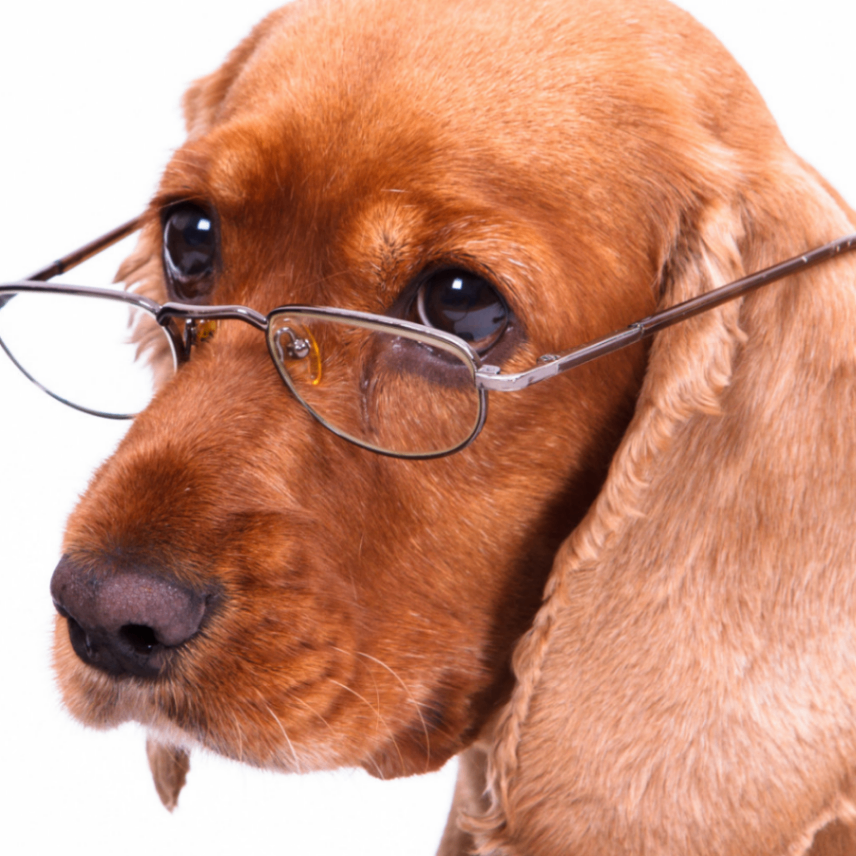 0xlaogou (laogou.lens) Lens social identity (.lens handle) PFP