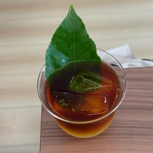 QT (bitcoingenie.lens) Lens social identity (.lens handle) PFP