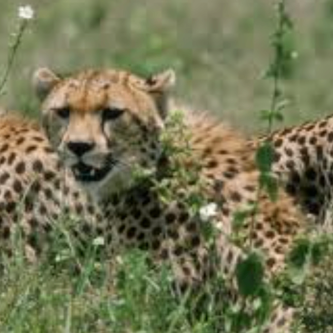 kjhkh (wiiii.lens) Lens social identity (.lens handle) PFP