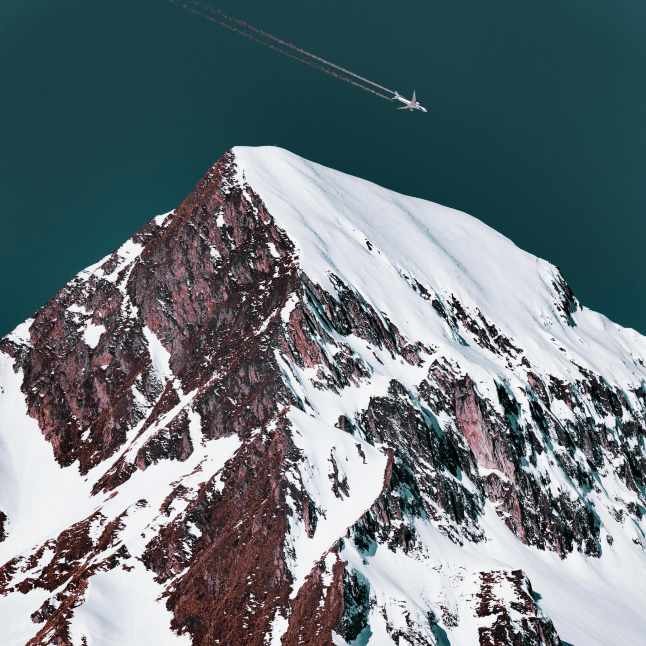 Zabra (zabra.lens) Lens social identity (.lens handle) PFP