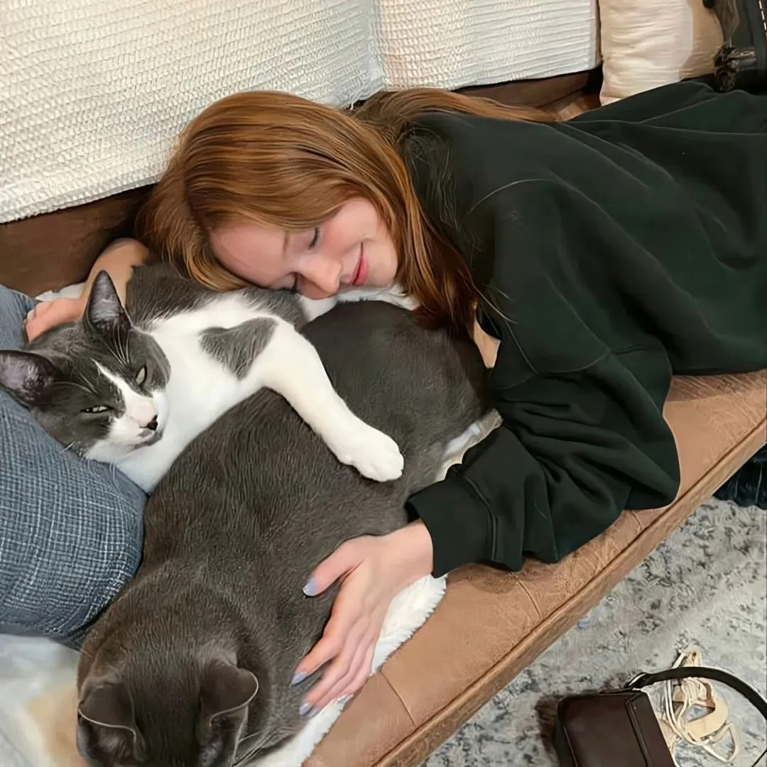 jhsbhw (royee.lens) Lens social identity (.lens handle) PFP