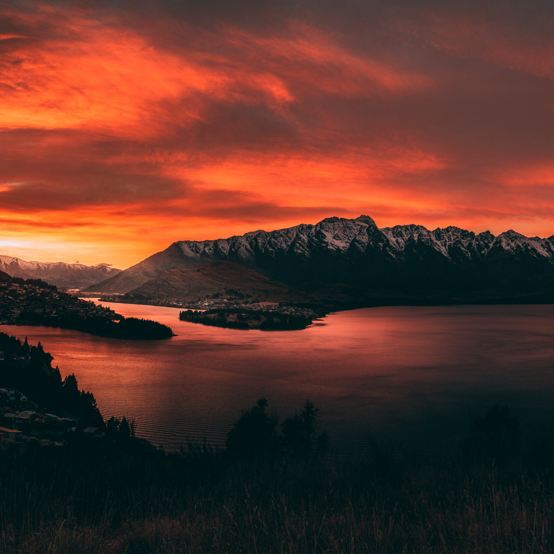 Afroz (afroz119.lens) Lens social identity (.lens handle) PFP