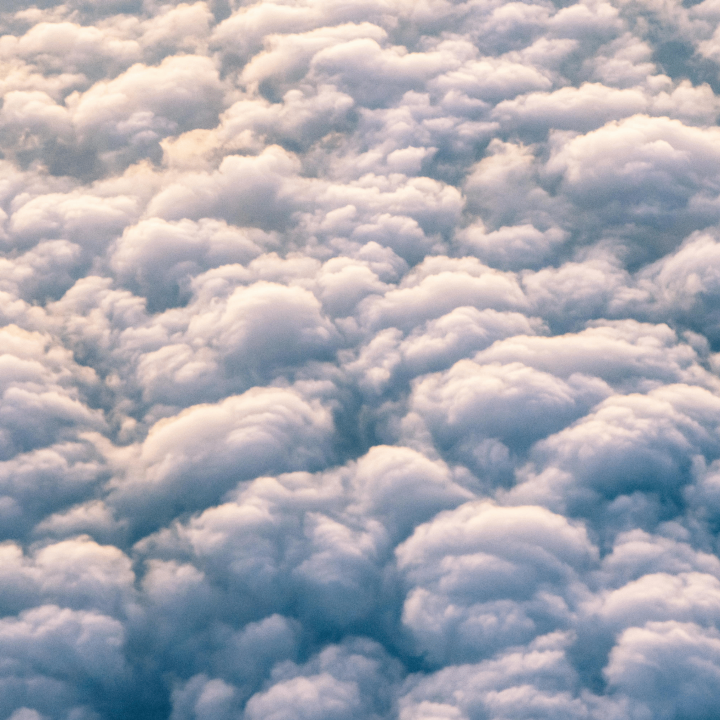 uttea (uttea.lens) Lens social identity (.lens handle) PFP