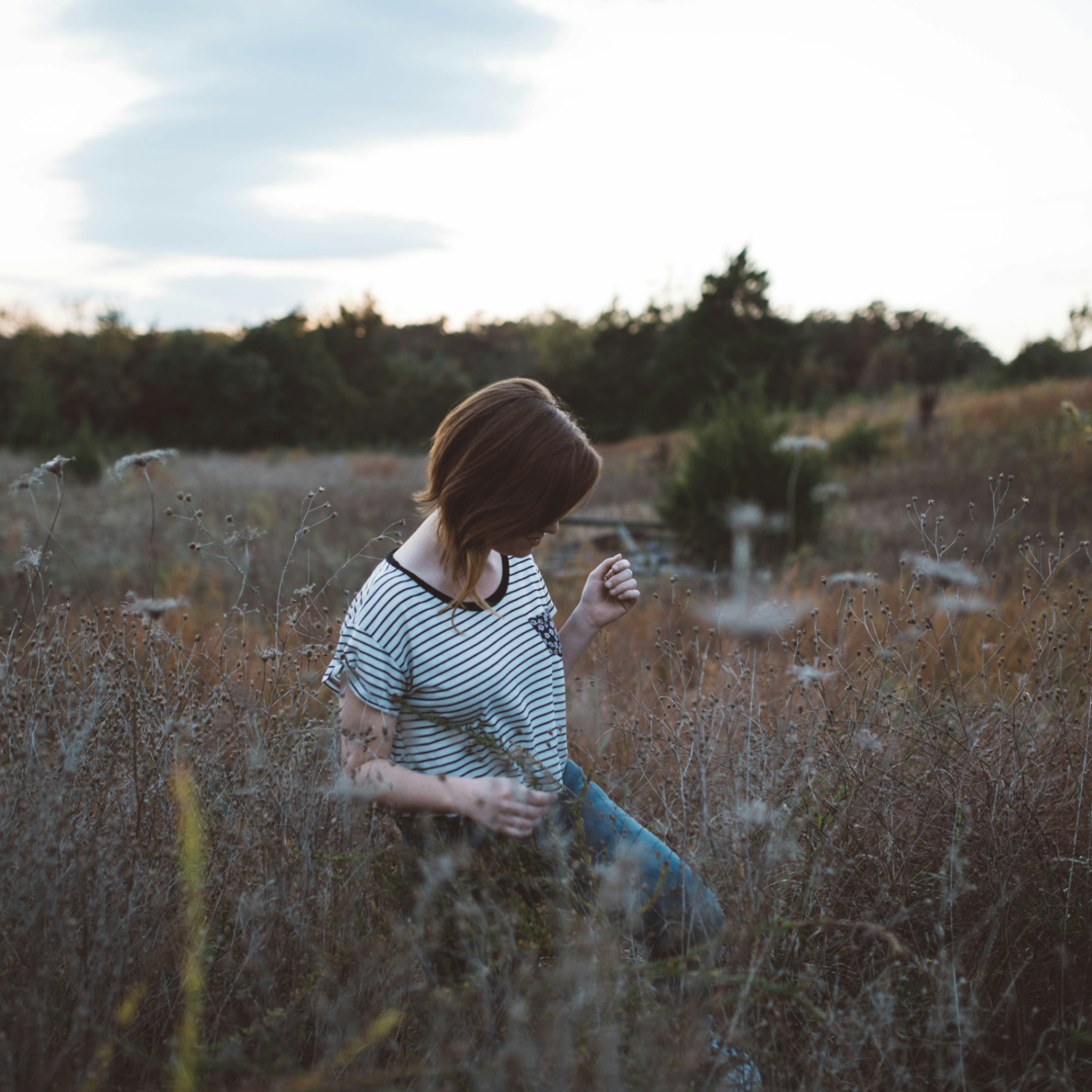 oceanmist (oceanmist.lens) Lens social identity (.lens handle) PFP