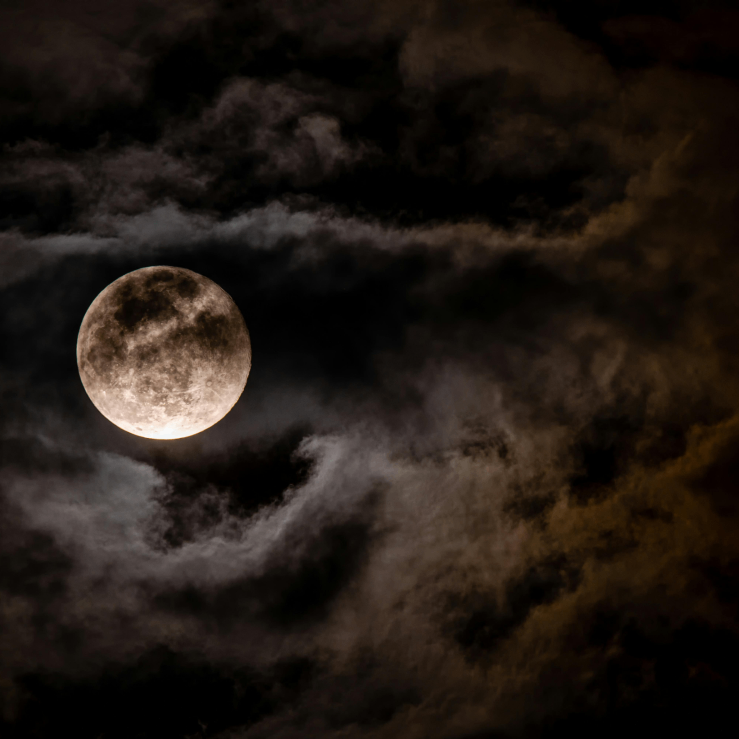 ruyne (ruyne.lens) Lens social identity (.lens handle) PFP