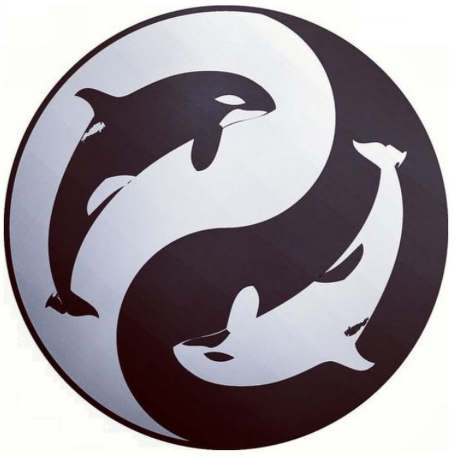 Whale Lens (whalelens.lens) Lens social identity (.lens handle) PFP