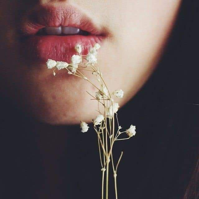 Li Linvil (linvill.lens) Lens social identity (.lens handle) PFP