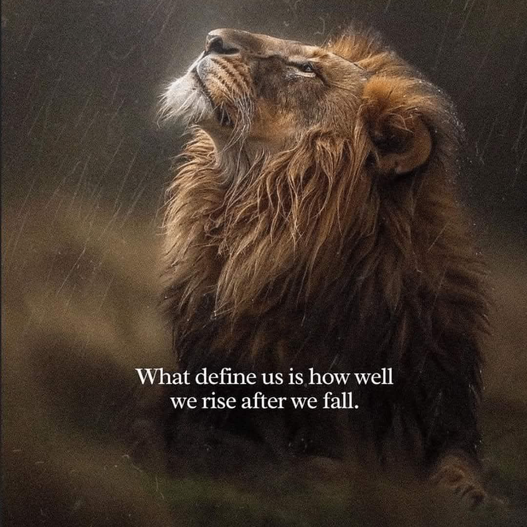 davecrypt20 (davecrypt20.lens) Lens social identity (.lens handle) PFP