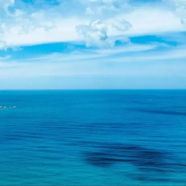 zinha (zinha.lens) Lens social identity (.lens handle) PFP