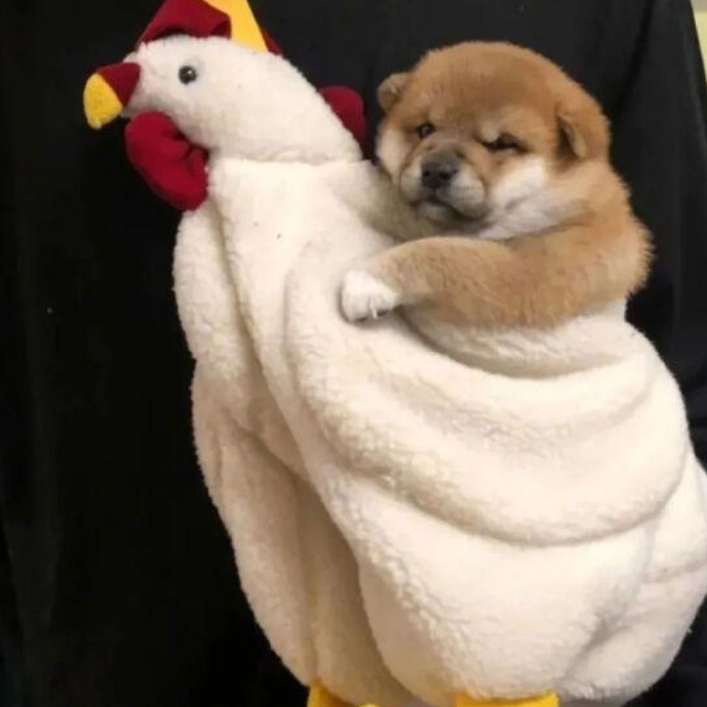 Samantha (dbdjjssisi.lens) Lens social identity (.lens handle) PFP