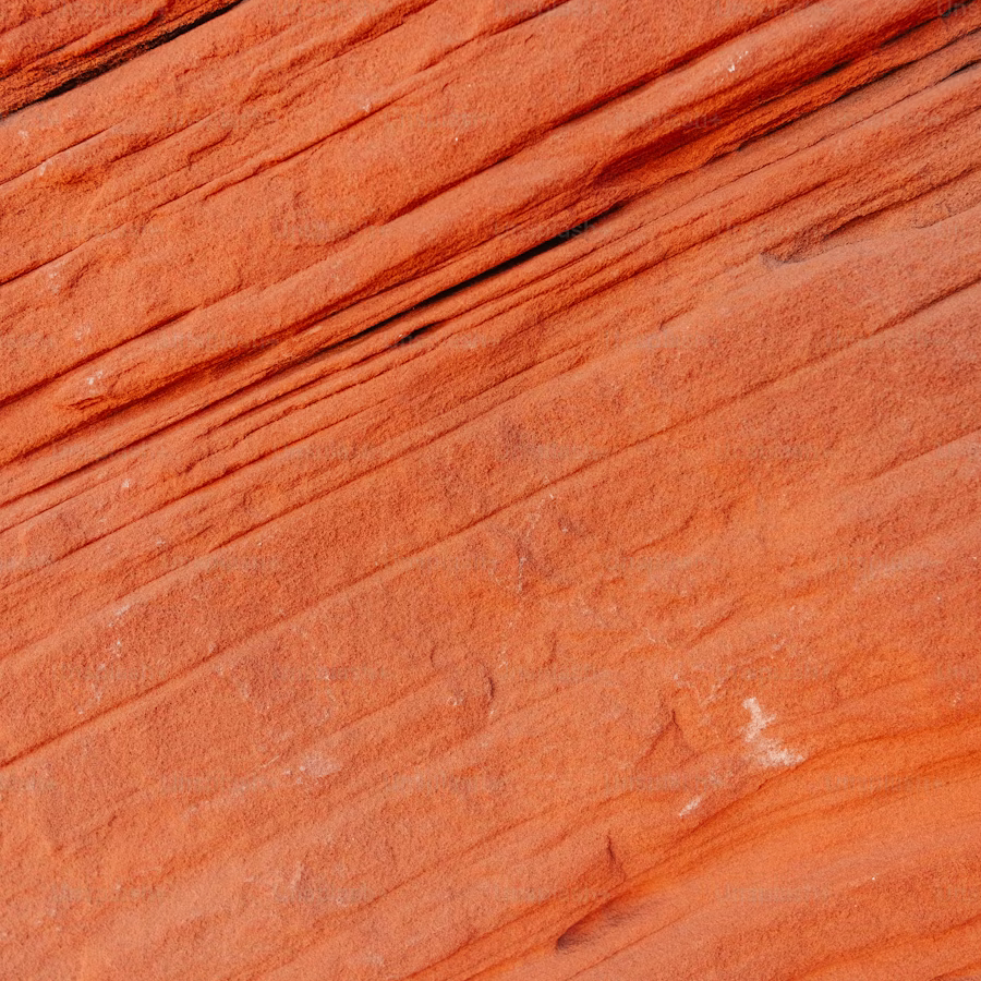 Helmut (helmut.lens) Lens social identity (.lens handle) PFP