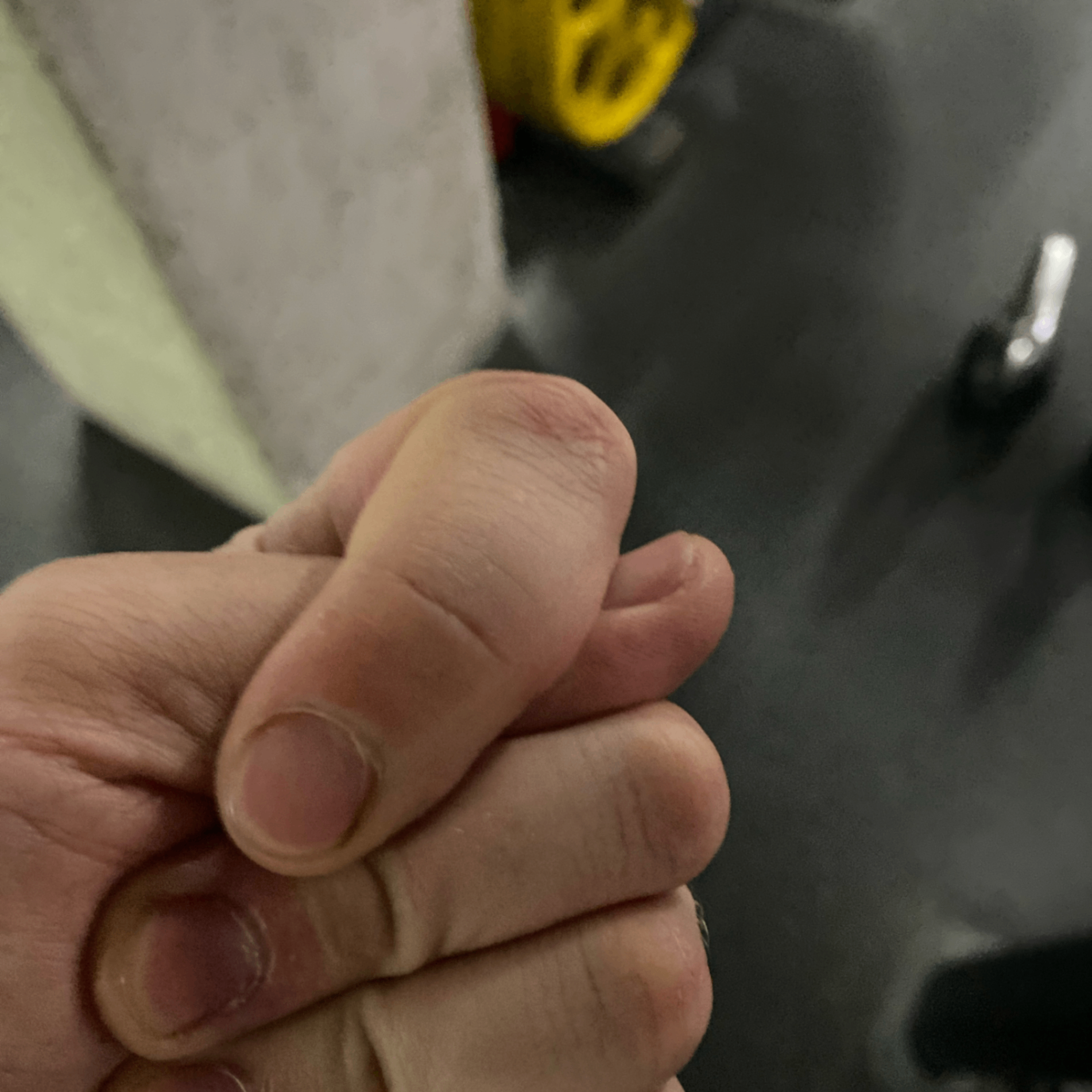 Alex (alexchern.lens) Lens social identity (.lens handle) PFP