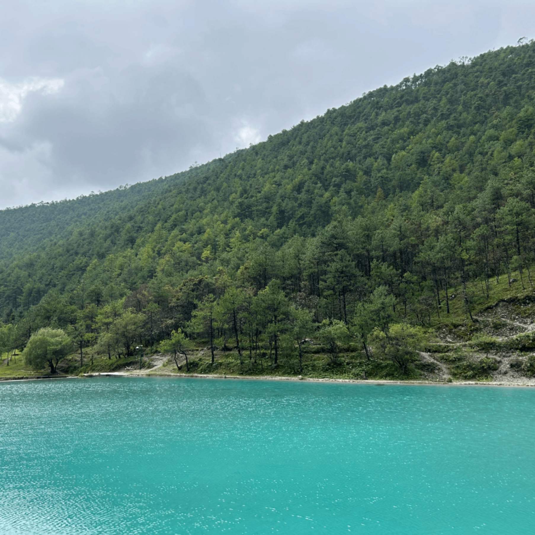 e13 (eth013.lens) Lens social identity (.lens handle) PFP