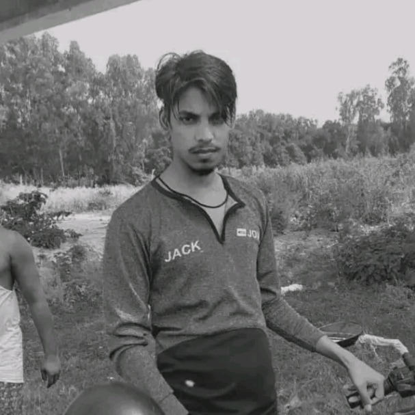 gritik pandey (gritikpandey.lens) Lens social identity (.lens handle) PFP