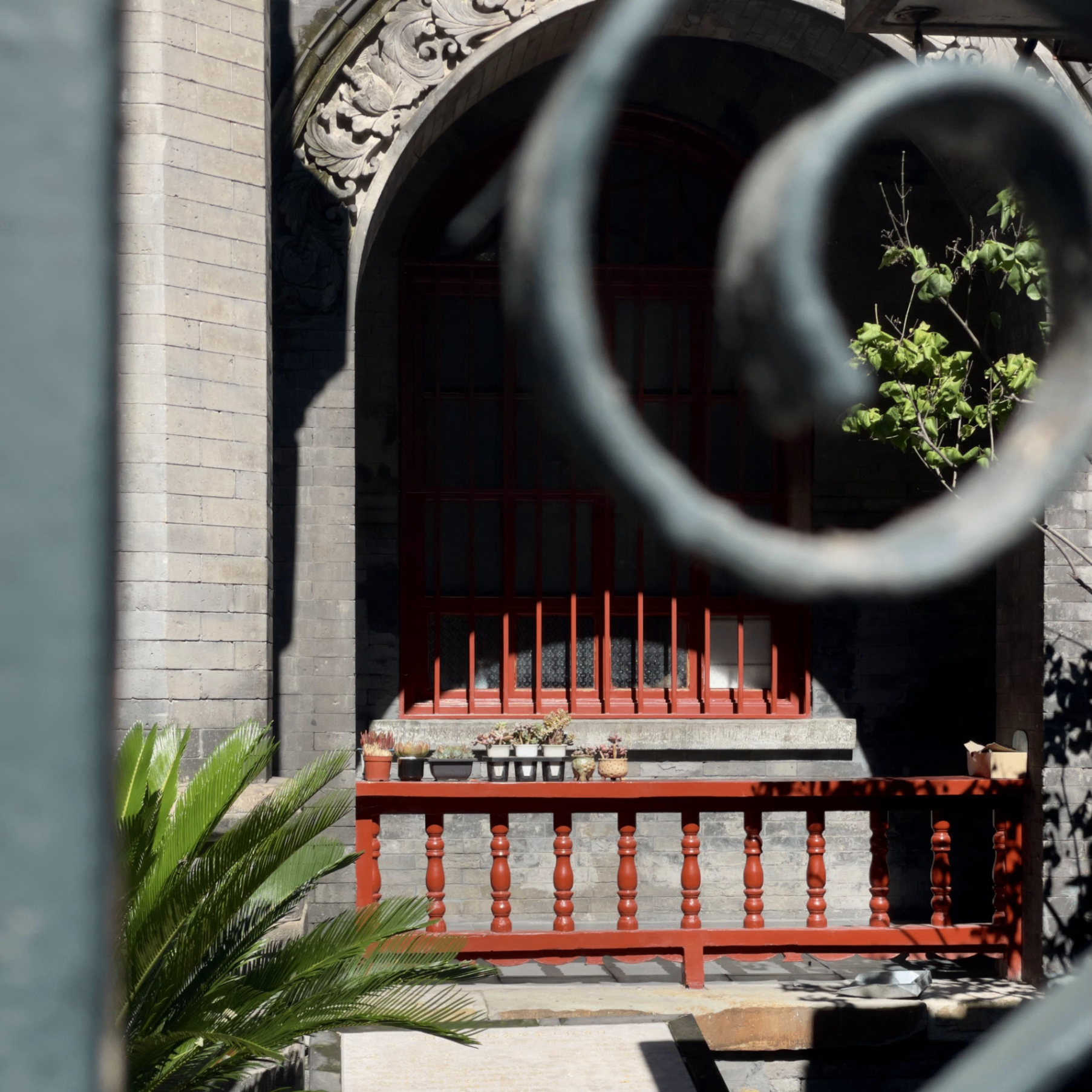 song F (nlaasfg.lens) Lens social identity (.lens handle) PFP