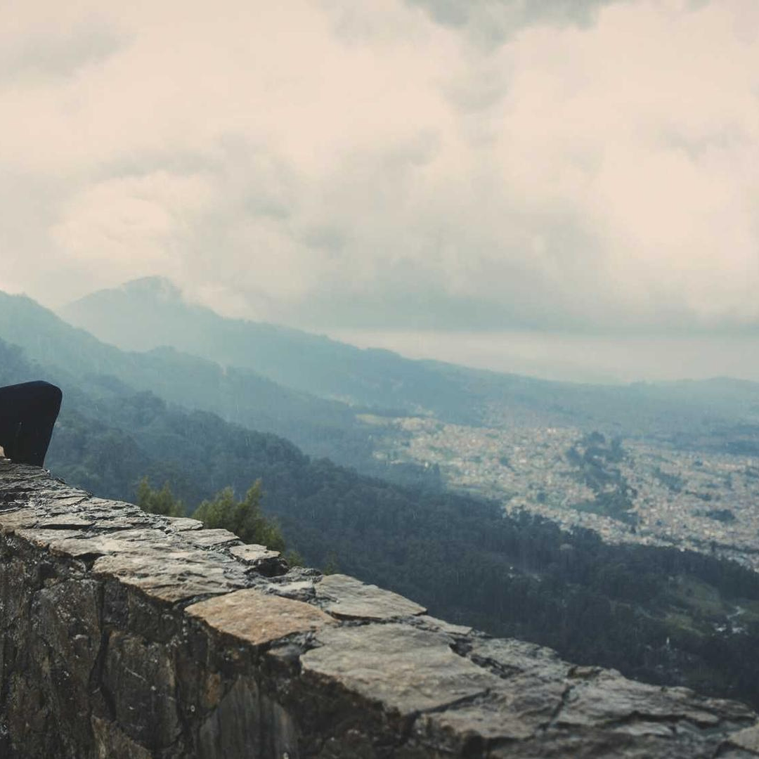 bookBaron (medal20069.lens) Lens social identity (.lens handle) PFP