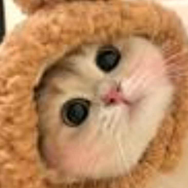 njjjj (njjjjj.lens) Lens social identity (.lens handle) PFP