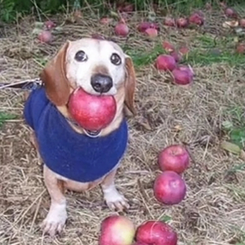 paulfleming919 (paulfleming919.lens) Lens social identity (.lens handle) PFP