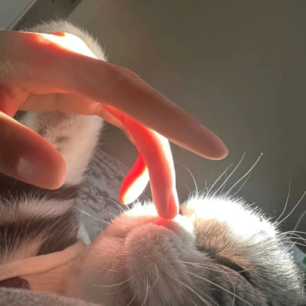 George Hood (yyzzz.lens) Lens social identity (.lens handle) PFP