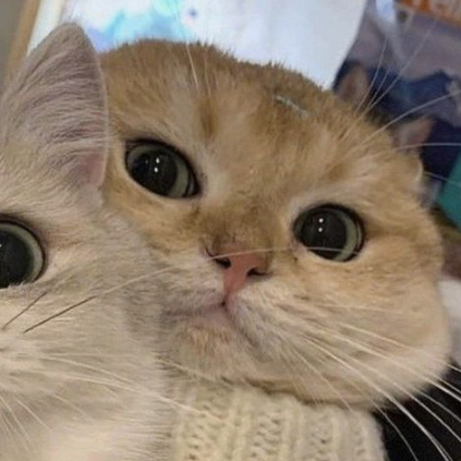 SilverioXi (aitxiberp90504.lens) Lens social identity (.lens handle) PFP