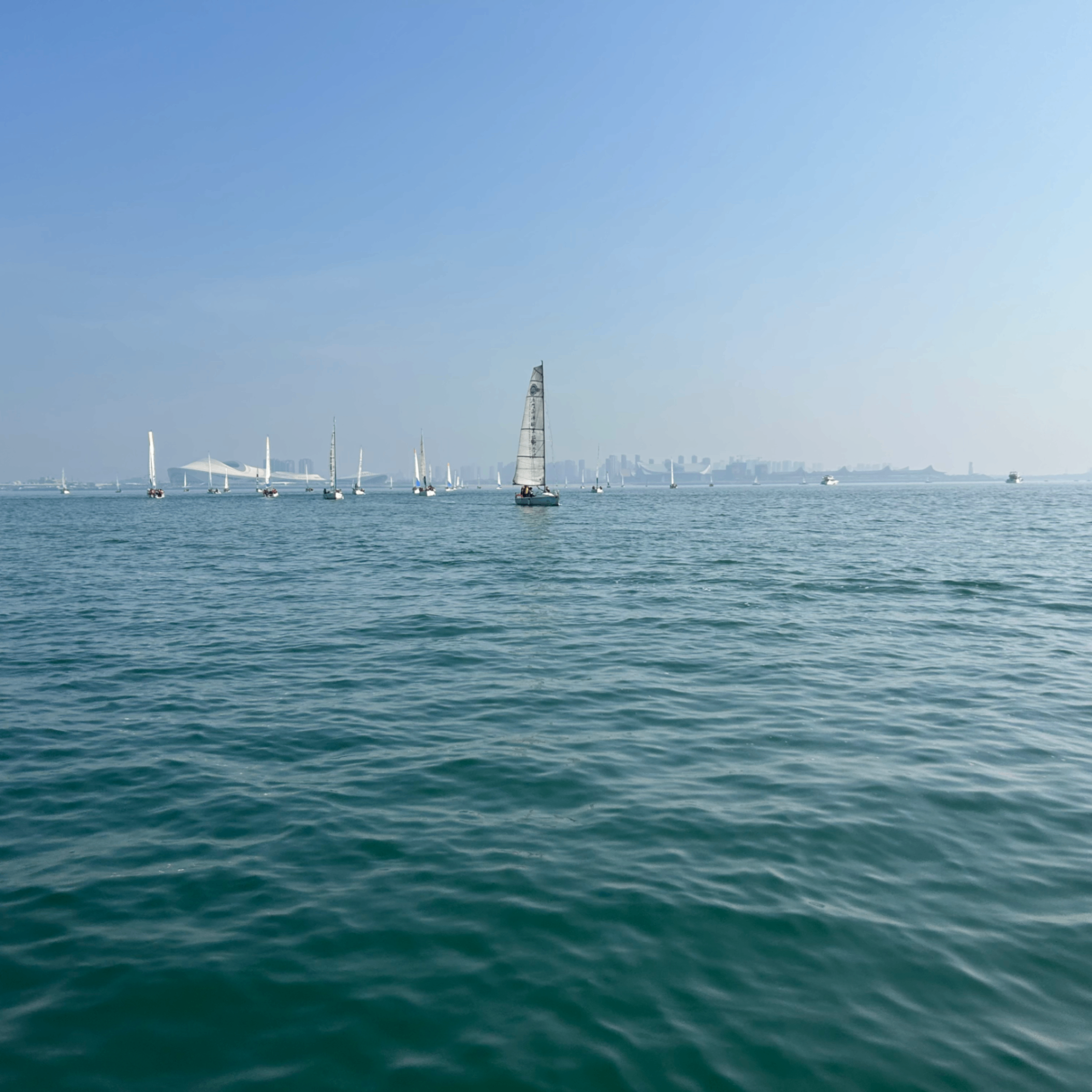 z21 (zksync21.lens) Lens social identity (.lens handle) PFP