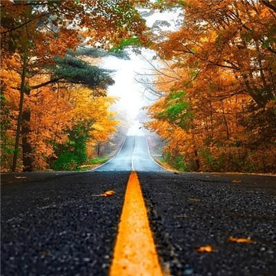 atisshynnea (atisshynnea.lens) Lens social identity (.lens handle) PFP