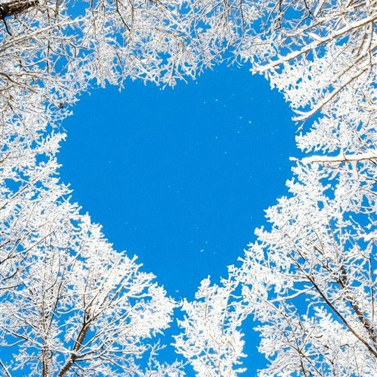 sdf (tokenverse.lens) Lens social identity (.lens handle) PFP