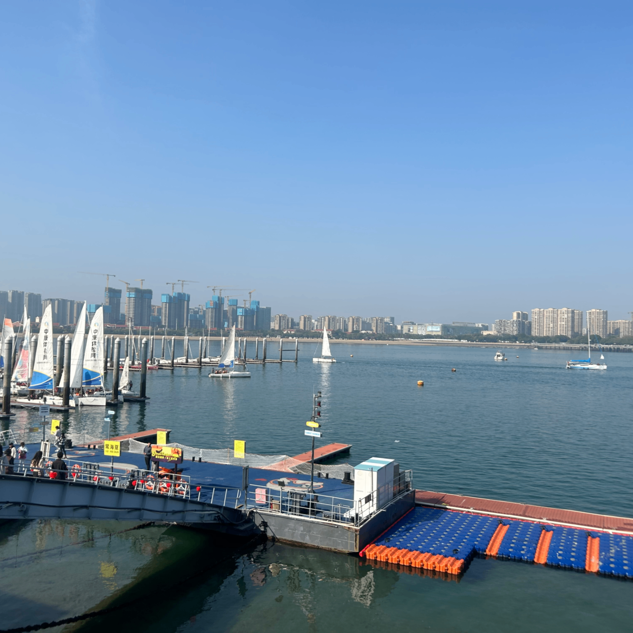 z25 (zksync25.lens) Lens social identity (.lens handle) PFP