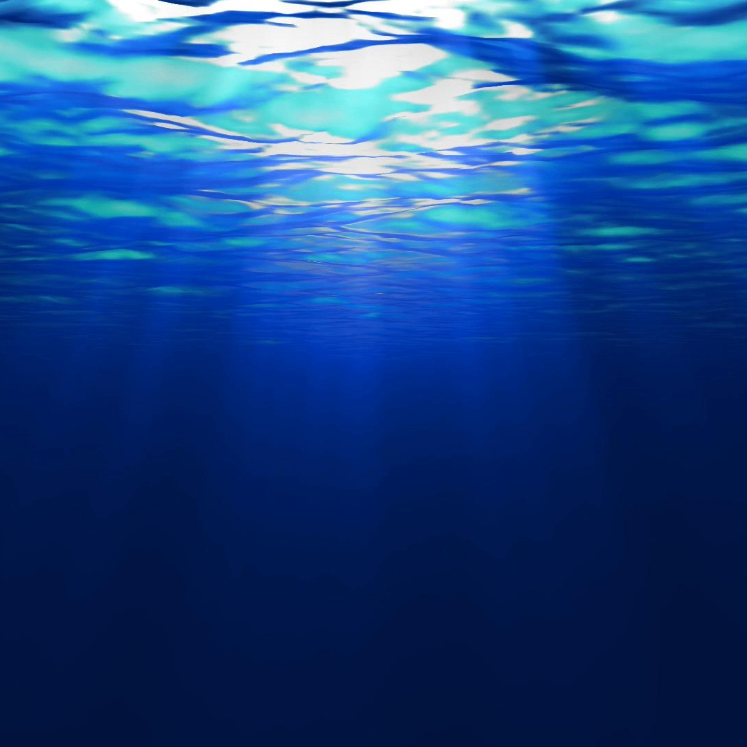 jkf (bitbrick.lens) Lens social identity (.lens handle) PFP