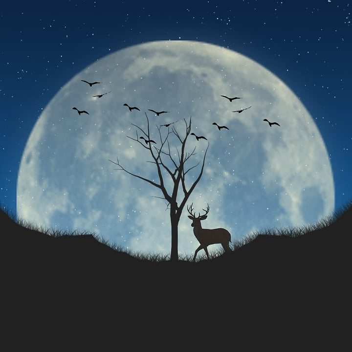 Fari (loudly01476.lens) Lens social identity (.lens handle) PFP