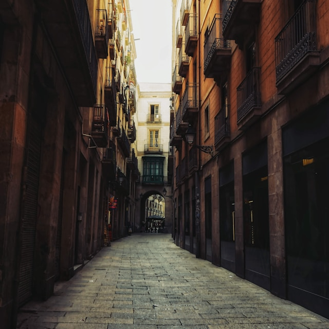 SafariSeeker (kyaxcd2111751535.lens) Lens social identity (.lens handle) PFP