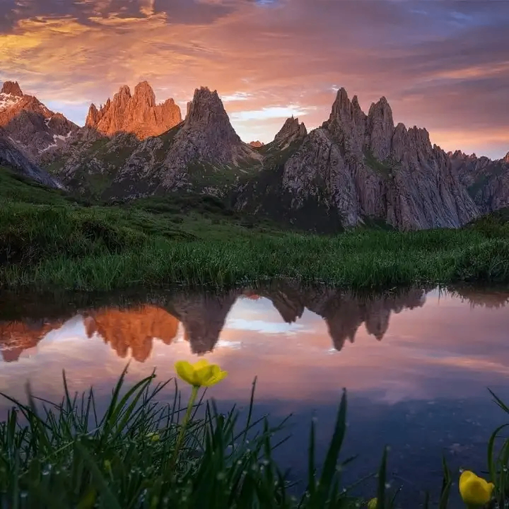 bloommm (bloommm.lens) Lens social identity (.lens handle) PFP