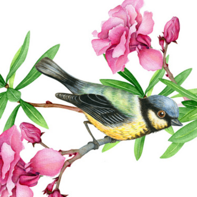 mnbjnbjkb (mtttt.lens) Lens social identity (.lens handle) PFP