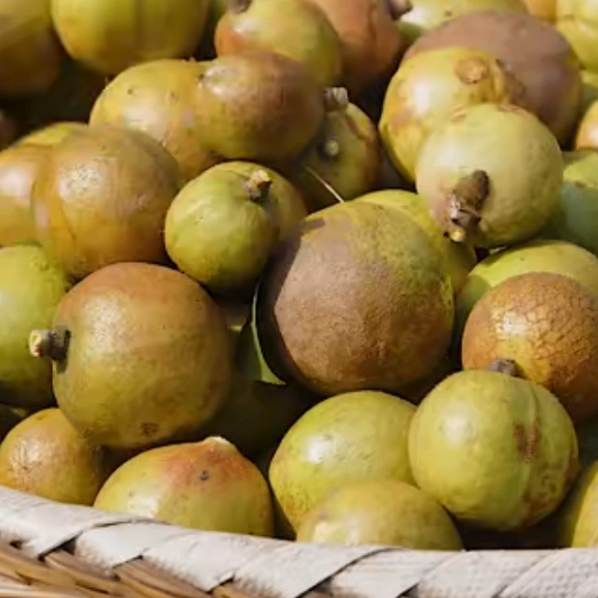 0xchaochao (jibada.lens) Lens social identity (.lens handle) PFP