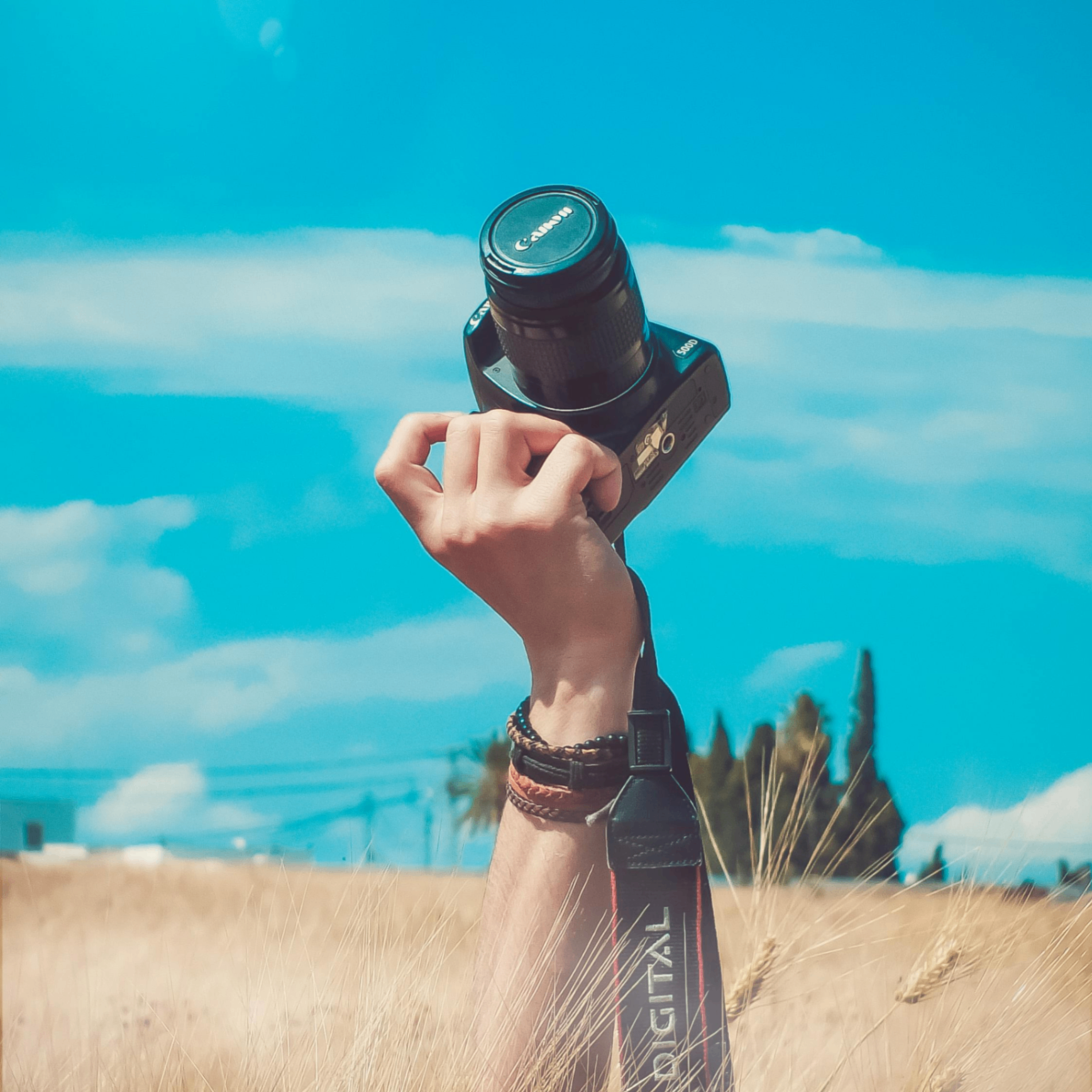 Senao (senao.lens) Lens social identity (.lens handle) PFP