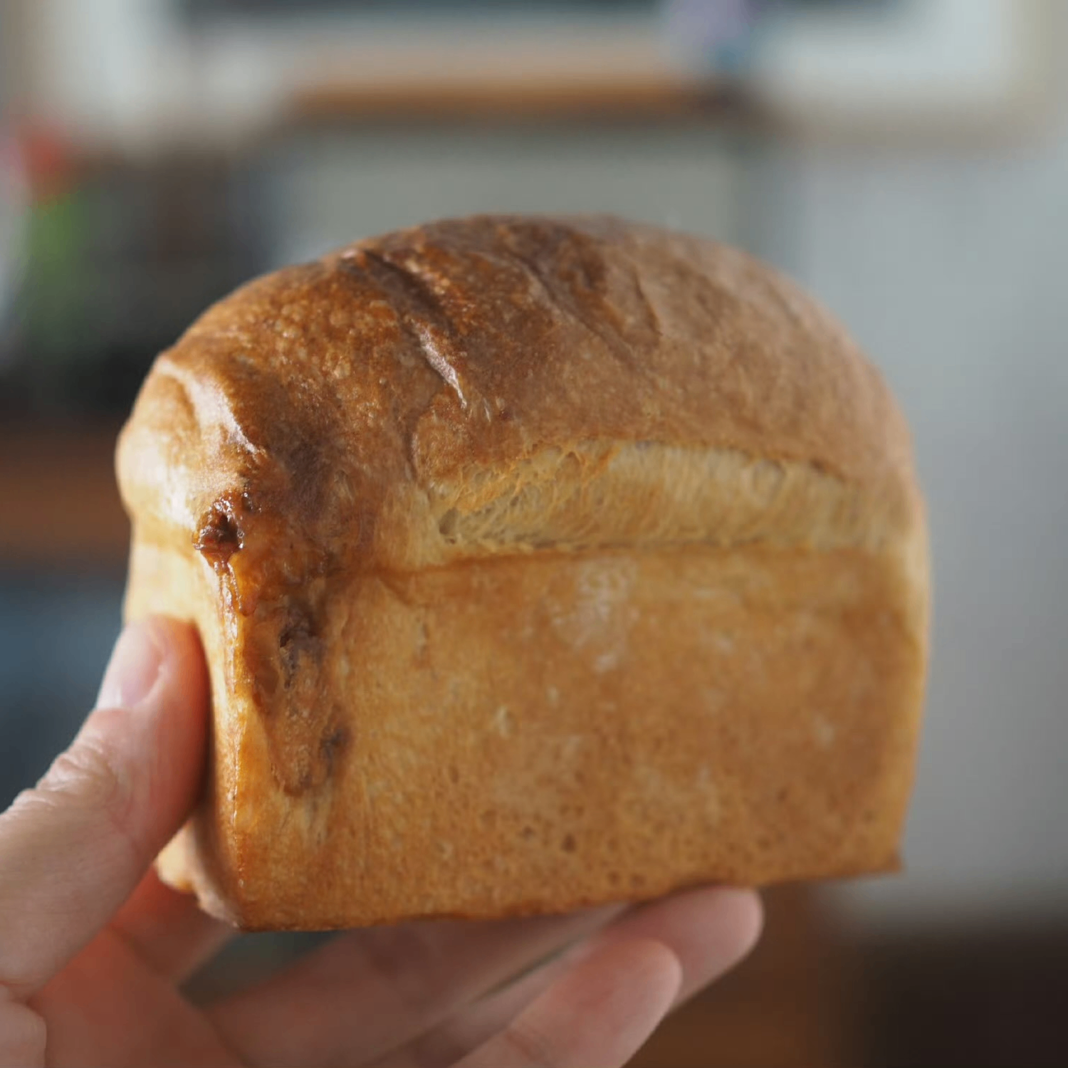 SYVIA (syvia.lens) Lens social identity (.lens handle) PFP