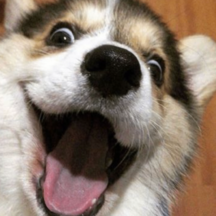 xdfxdfxdf (dbbbbb.lens) Lens social identity (.lens handle) PFP