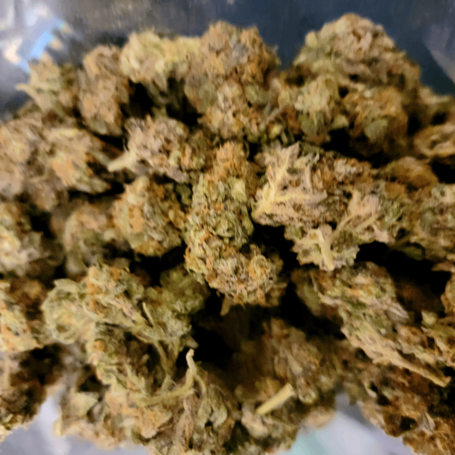 Dougy (dougy.lens) Lens social identity (.lens handle) PFP